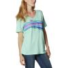 Columbia Womens Bluebird Day™ Relaxed V Neck(Color)