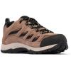 Columbia Women’s Trailstorm Waterproof Hiking Boot(Allspice Black)