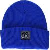 Bright Indigo