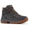 Columbia Men’s Discontinued Newton Ridge Plus II Suede Waterproof Hiking Boot(Dark Grey/Gold Amber)