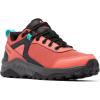 Red Coral  Bright Aqua