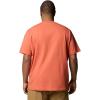 Columbia Mens Landroamer Short Sleeve Henley II(Tuscan)