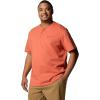 Columbia Mens Landroamer Short Sleeve Henley II(Tuscan)