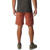 Columbia Men’s Silver Ridge Cargo Short(Auburn)