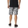 Columbia Men’s Silver Ridge Cargo Short(Black Dye Frond)
