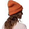Columbia Unisex-Adult PHG Patch Beanie(Cedar/Tested Tough Box Dog)