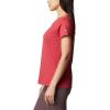 Columbia Womens Daisy Days Short Sleeve Graphic Tee(Daredevil/Bearly Omblur)