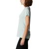 Columbia Womens Daisy Days Short Sleeve Graphic Tee(Icy Morn Heather/Van Life)