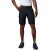 Columbia Men’s Silver Ridge Convertible Pants(Black)