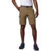 Columbia Men’s Silver Ridge Convertible Pants(Delta)