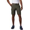 Columbia Men’s Silver Ridge Convertible Pants(Peatmoss)