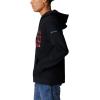 Columbia mens Trek Hoodie(Black/Treestriped Flag)