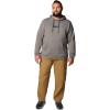 Columbia mens Trek Hoodie(Charcoal Heather/Puff Box Gem Logo)