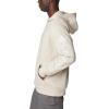 Columbia mens Trek Hoodie(Dark Stone/Csc Sleeve Logo)
