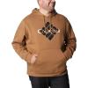 Columbia mens Trek Hoodie(Delta/Centered Gem Logo)