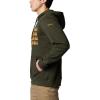 Columbia mens Trek Hoodie(Greenscape/Treestripe Flag)