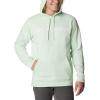 Columbia mens Trek Hoodie(Ice Green/Csc Branded Logo)