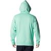 Columbia mens Trek Hoodie(Kelp Heather/Csc Arched Brand Logo)