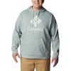 Columbia mens Trek Hoodie(Niagara/Csc Stacked Graphic)