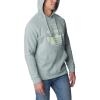 Columbia mens Trek Hoodie(Niagara/Fun With Flags Graphic)