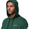 Columbia mens Trek Hoodie(Rain Forest/Csc Sleeve Logo)