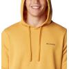 Columbia mens Trek Hoodie(Raw Honey  Boxed Gem Columbia Graphic)