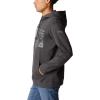 Columbia mens Trek Hoodie(Shark/Us Hood Flag)