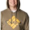 Columbia mens Trek Hoodie(Stone Green/Centered Gem Logo)