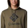 Columbia mens Trek Hoodie(Stone Green/Csc Stacked Graphic)