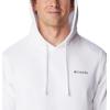 Columbia mens Trek Hoodie(White/Patriotic Shoreline Graphic)