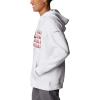 Columbia mens Trek Hoodie(White/Treestriped Flag)