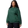 Columbia Women’s Aldermore Hoodie(Rain Forest)