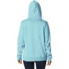 Columbia Women’s Trek Graphic Hoodie(Aquamarine/Scripted Brand)