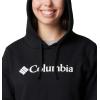 Columbia Women’s Trek Graphic Hoodie(Black/Gem Columbia)