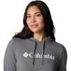 Columbia Women’s Trek Graphic Hoodie(City Grey Heather/Gem Columbia)