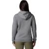 Columbia Women’s Trek Graphic Hoodie(City Grey Heather/Gem Columbia)