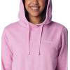Columbia Women’s Trek Graphic Hoodie(Cosmos)