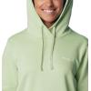 Columbia Women’s Trek Graphic Hoodie(Sage Leaf)