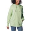 Columbia Women’s Trek Graphic Hoodie(Sage Leaf)