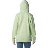 Columbia Women’s Trek Graphic Hoodie(Sage Leaf)