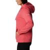 Columbia womens Trek Graphic Treatment Hoodie(Bright Geranium/Stacked Gem)