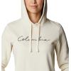 Columbia womens Trek Graphic Treatment Hoodie(Chalk/Script Logo)