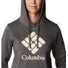 Columbia womens Trek Graphic Treatment Hoodie(Charcoal Heather/Stacked Gem)