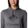 Columbia womens Trek Graphic Treatment Hoodie(City Grey Heather/Black Csc Stacked Logo)