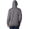 Columbia womens Trek Graphic Treatment Hoodie(City Grey Heather/Black Csc Stacked Logo)