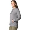 Columbia womens Trek Graphic Treatment Hoodie(City Grey Heather/Casual Script)