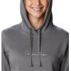 Columbia womens Trek Graphic Treatment Hoodie(City Grey Heather/White Logo)