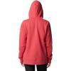 Columbia womens Trek Graphic Treatment Hoodie(Daredevil/Casual Script)