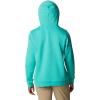Columbia womens Trek Graphic Treatment Hoodie(Electric Turquoise/Rainbow)