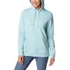 Columbia womens Trek Graphic Treatment Hoodie(Green)